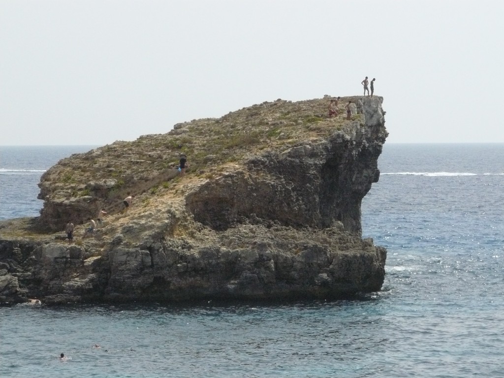 490990.jpg