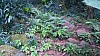 20170804_090747.jpg 20170804_090747.jpg