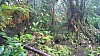 20170804_091634.jpg 20170804_091634.jpg
