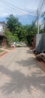 20250418_143152.jpg