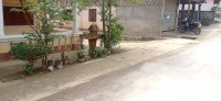 20250419_101048.jpg