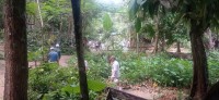 20250419_102354.jpg