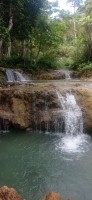 20250419_102636.jpg