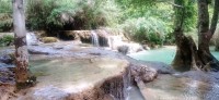 20250419_102851.jpg