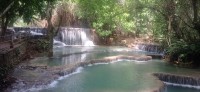 20250419_103227.jpg