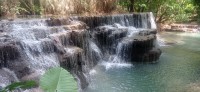 20250419_103319.jpg