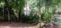 20250419_103445.jpg