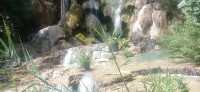 20250419_103706.jpg