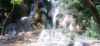 20250419_103735.jpg