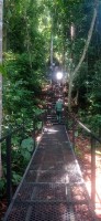 20250419_104300.jpg