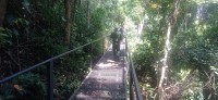 20250419_104405.jpg