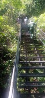 20250419_104502.jpg