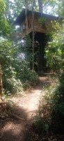 20250419_105034.jpg