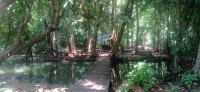 20250419_105420.jpg