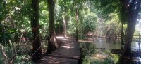 20250419_105502.jpg