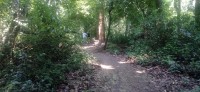 20250419_105556.jpg