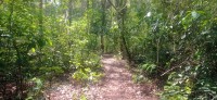 20250419_110148.jpg