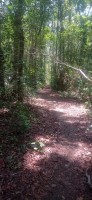 20250419_110236.jpg