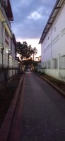 20250419_184624.jpg