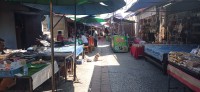 20250420_093354.jpg