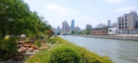 20250529_110559.jpg