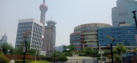 20250530_110450.jpg