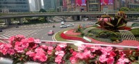 20250530_111955.jpg
