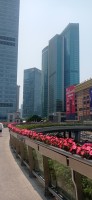 20250530_112039.jpg