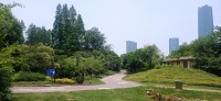20250530_113510.jpg