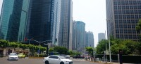 20250530_115303.jpg