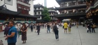 20250531_105956.jpg