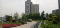 20250531_114914.jpg