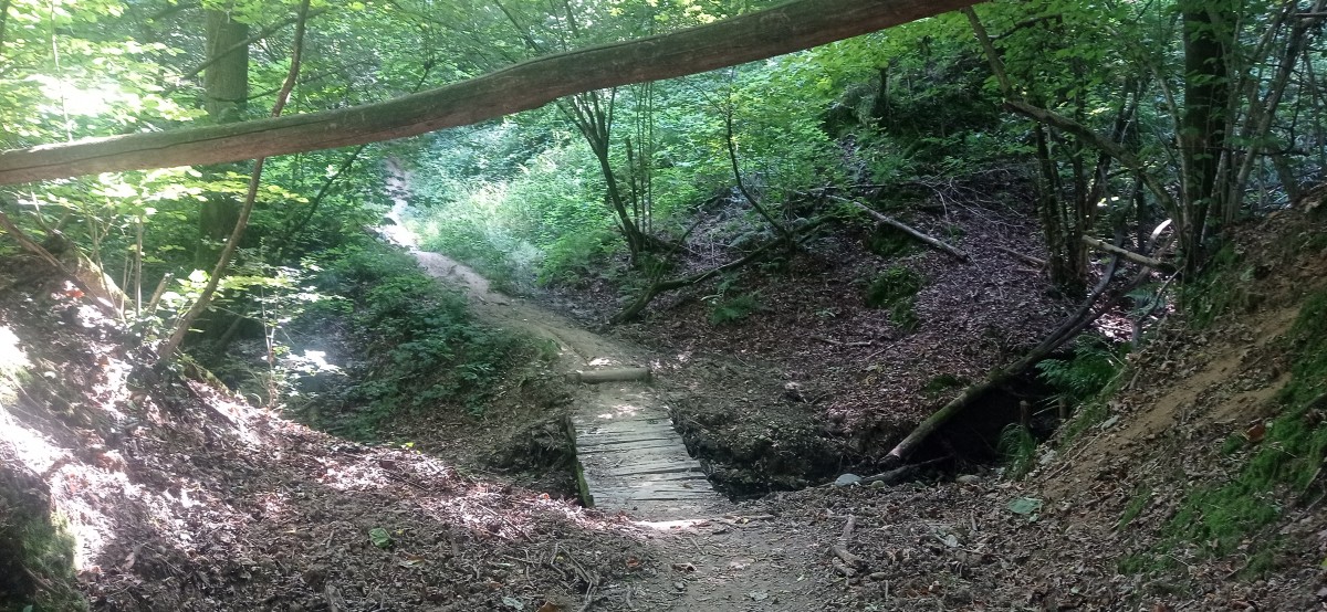 20250627_102104.jpg