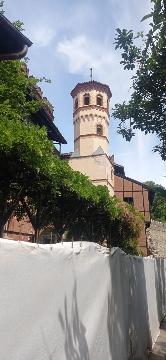 20250627_122038.jpg