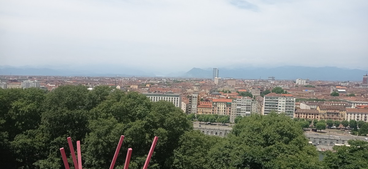 20250627_125453.jpg