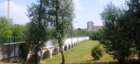 20250626_105923.jpg