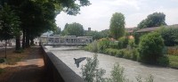 20250626_123310.jpg