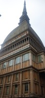 20250626_130423.jpg