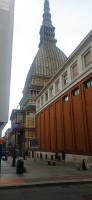20250626_130733.jpg