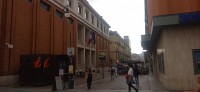 20250626_130739.jpg