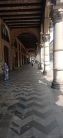20250626_155833.jpg