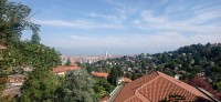 20250627_095118.jpg