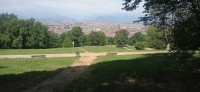 20250627_113505.jpg
