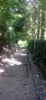 20250627_114722.jpg