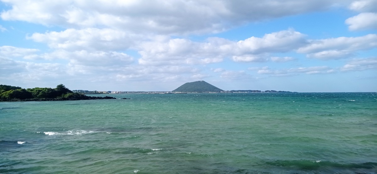 20251027_145235.jpg