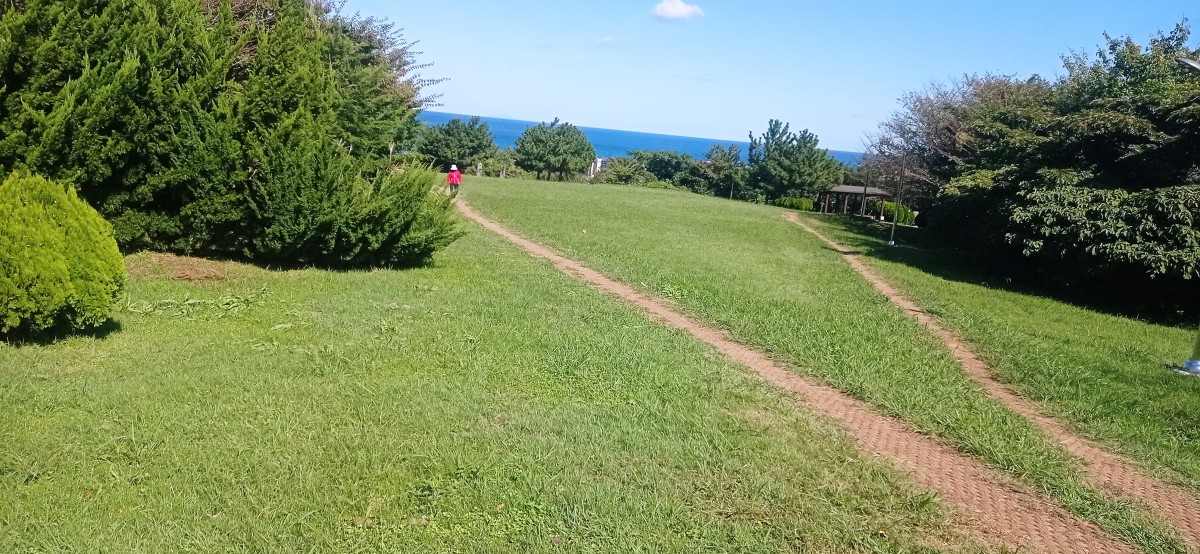 20251028_124648.jpg