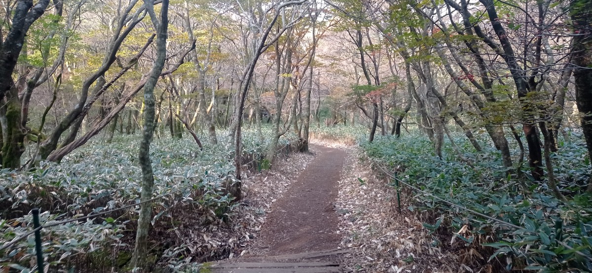 20251030_081047.jpg