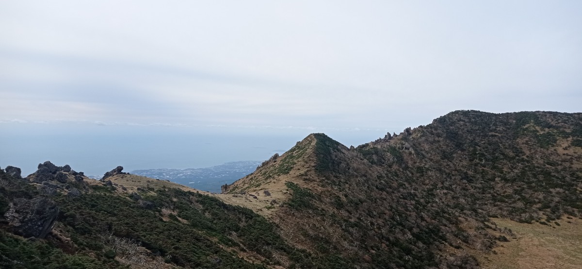 20251030_103644.jpg