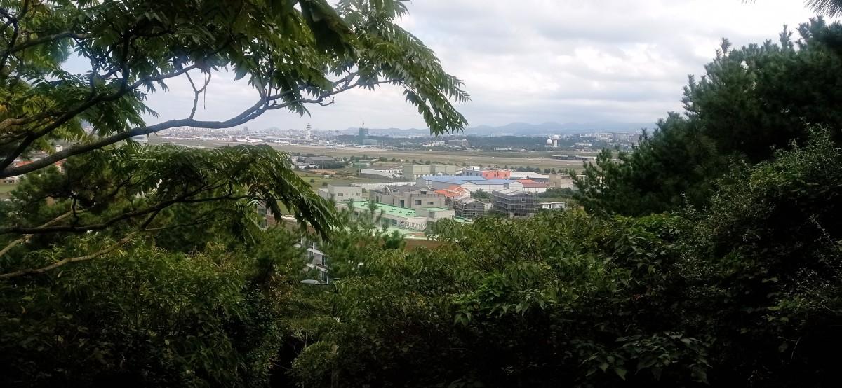 20251031_132406.jpg