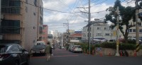 20251027_095531.jpg